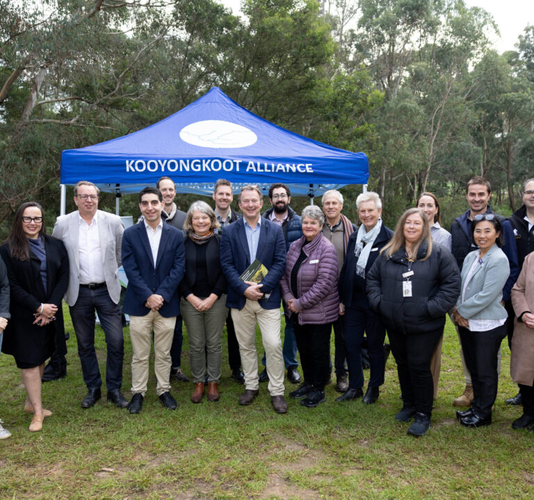 KooyongKoot Alliance revegetation project on Gardiners Creek Reserve in Burwood