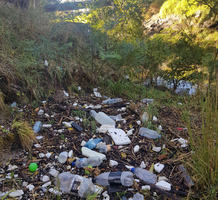 Gardiner Creek (KooyongKoot) catchment-scale litter assessment