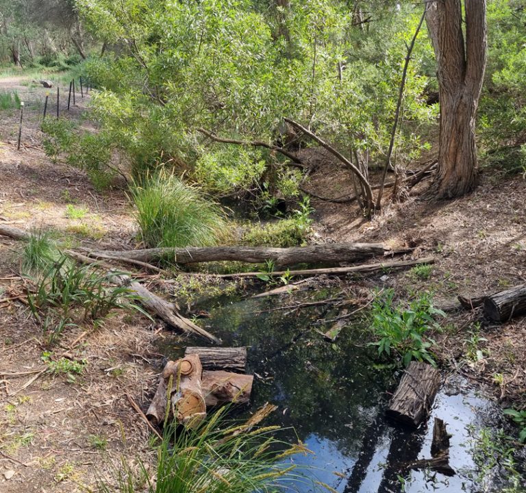 Catchment-scale, community-led, water quality and environmental monitoring program